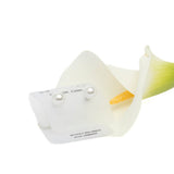 Orecchini con perle avorio.